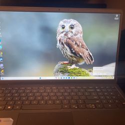 Dell Laptop 