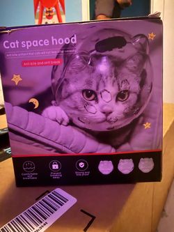 Cat space helmet