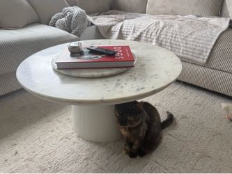 Safavieh White Marble 30"D coffee table
