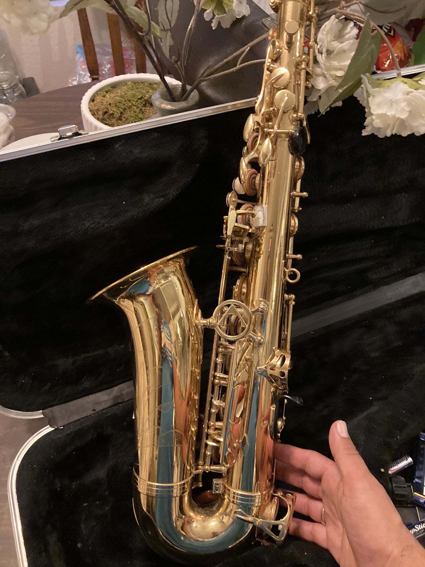 Saxophone Antigua 