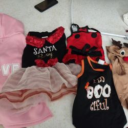 Medium Dog Clothes