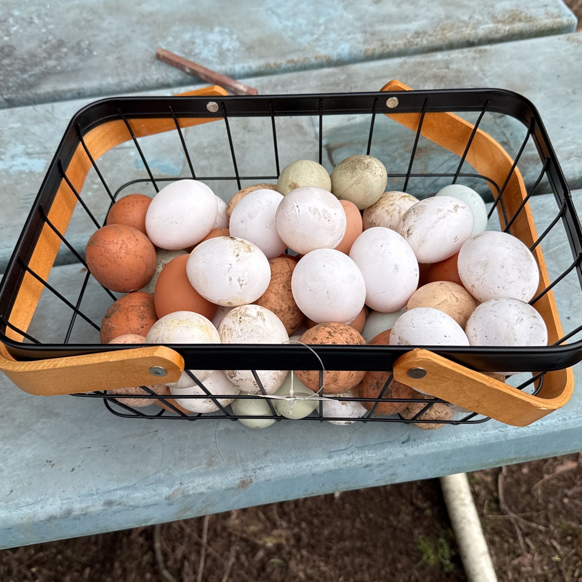 Eggs For Sale $8 Of Dozen