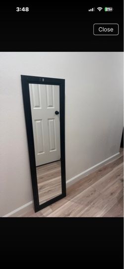 Door Mirror