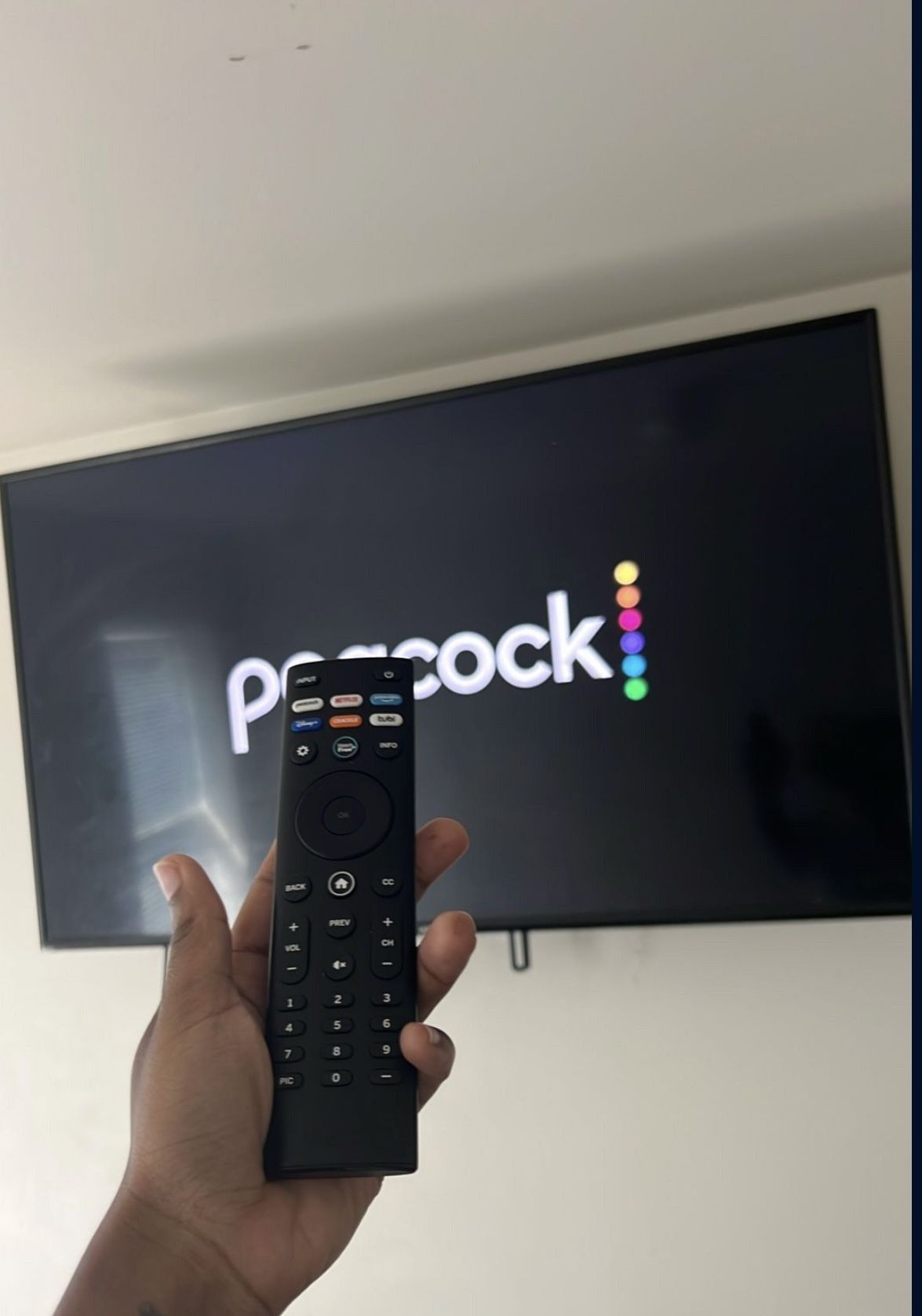 Vizio TV
