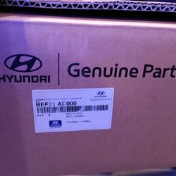 OEM Hyundai Luggage Rack 