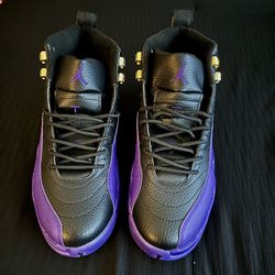 Nike Air Jordan 12 Retro Field Purple / Black Men’s Shoes