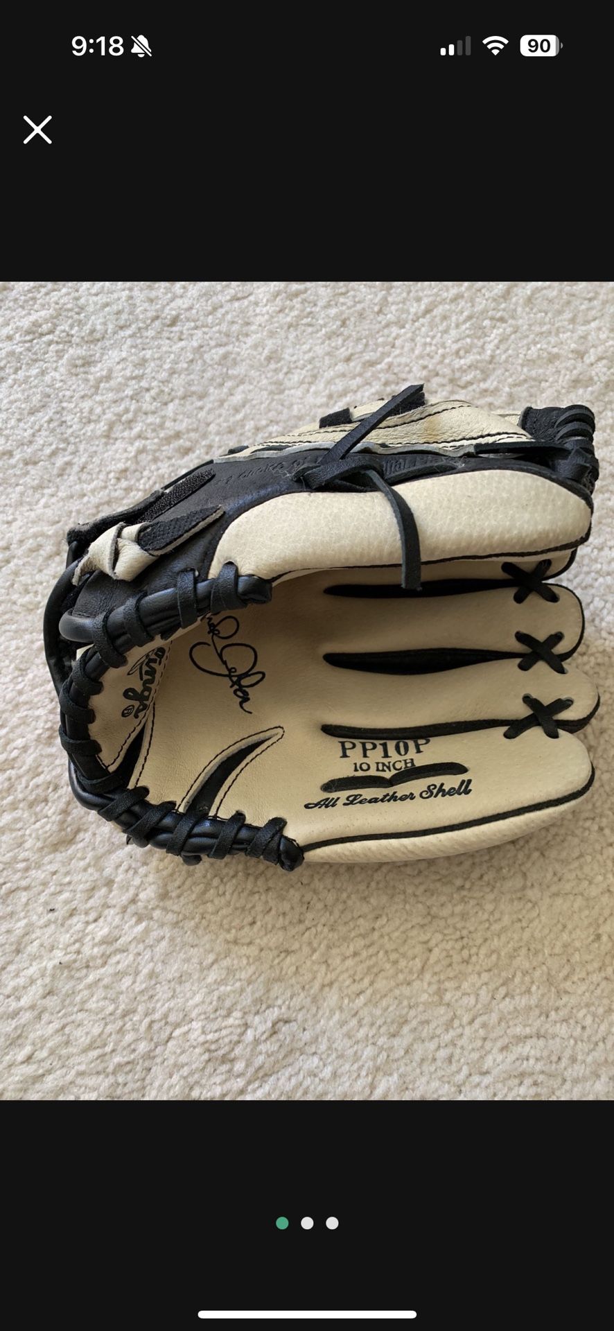 10 inch softball glove