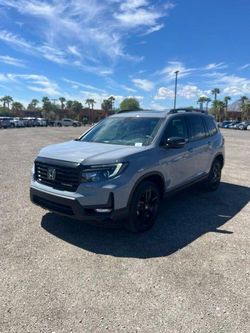 2024 Honda Passport