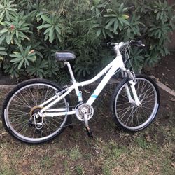 Bike 24 7 Gears