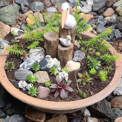 Cute Large Round Terra Cotta Flower Pot With Succulents And Wooden Pelican Figurine 