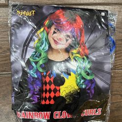 Clown Costume & Wig