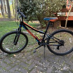 Giant Kids Bike 24”