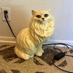 Large Porcelain Cat 50$
