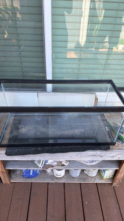 20 gal long