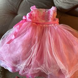 Girls Pink Chiffon Dress With Sean On roses