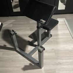 Seated Arm Curl Station 