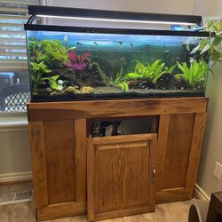 55g Tank And Stand