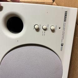 Yamaha Computer Speaker! 