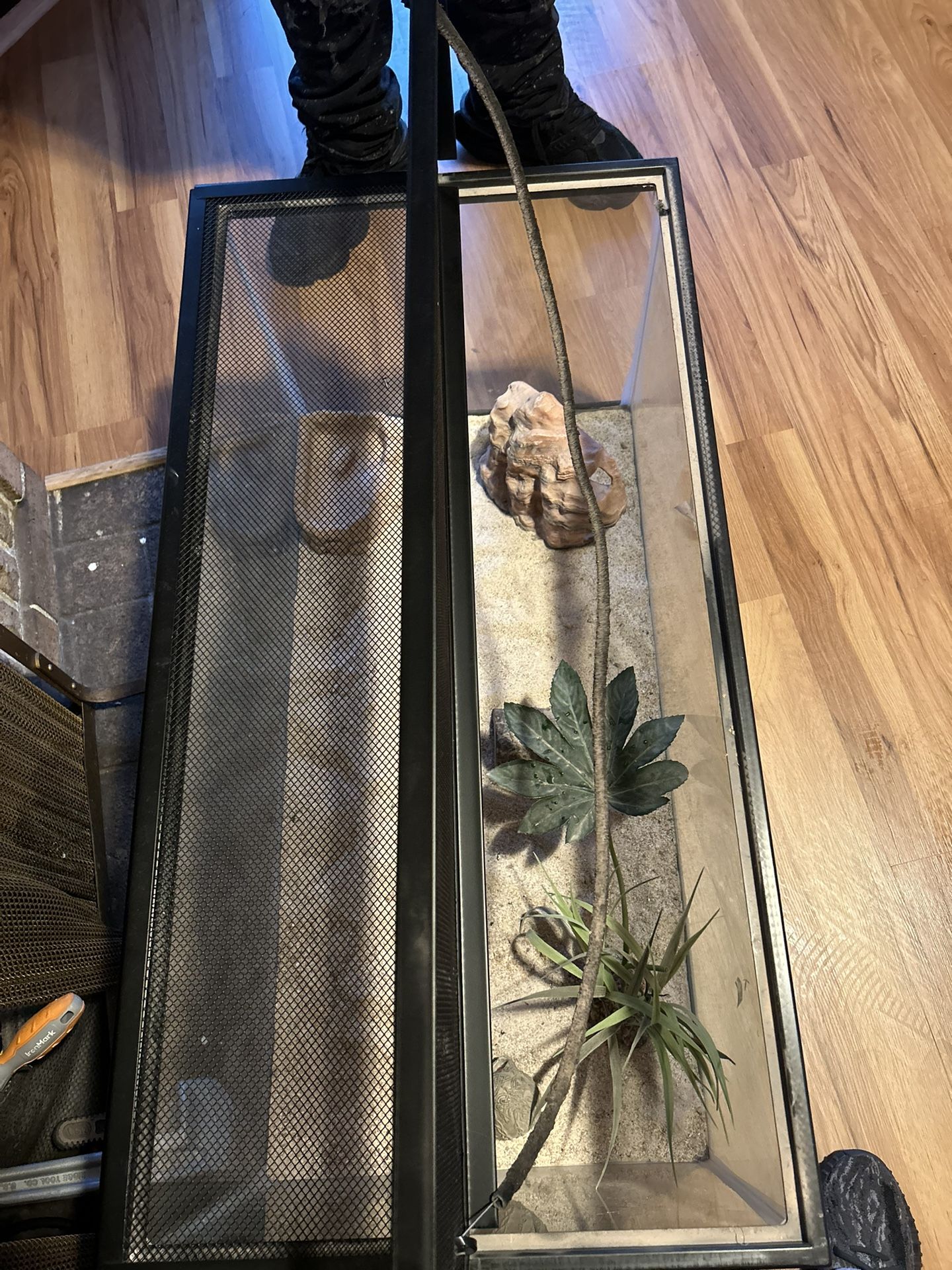 Fish Tank