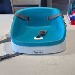 Ingenuity Booster Seat
