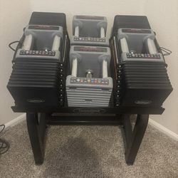 Adjustable Dumbbells with Stand- Powerblock Commercial Pro 175