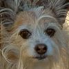 Molly