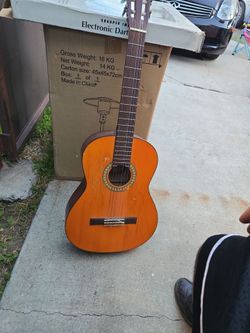 Sunlite Parlor guitar