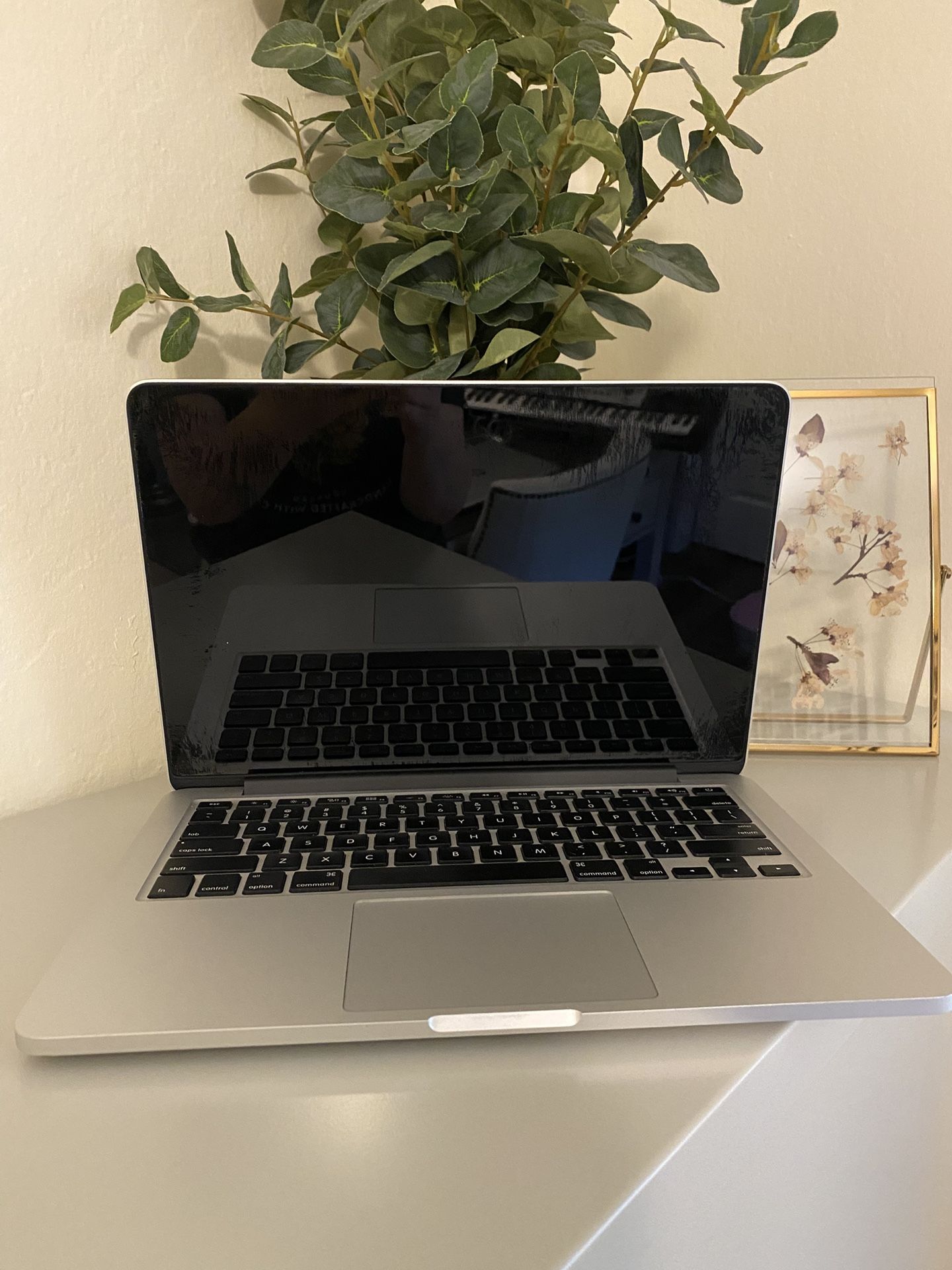 Early 2015 MacBook Pro 13 inch macOS Monterey