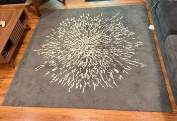 80x80 IKEA Rug