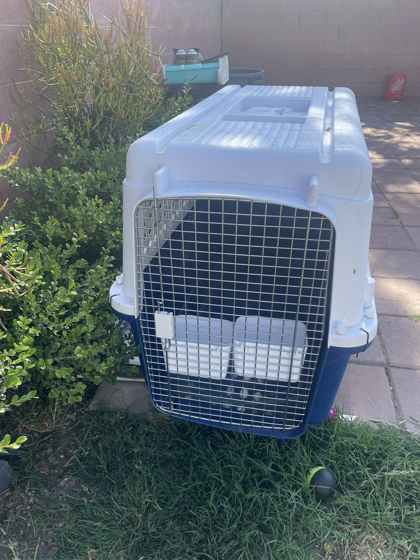 XXL Dog Carrier/Crate