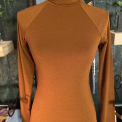 Turtle Neck Long Sleeve Dress