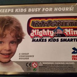 Magnetic Mighty Mind Educational Toy, Like New