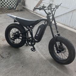 Modded E Bike