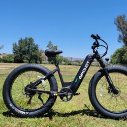 Fat Tire Electric Bike Step Thru 750w