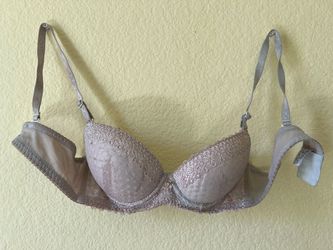 Padded Bra