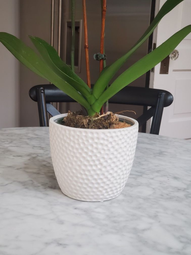 Contemporary Textured White Planter Flower Pot Cachepot Brand New