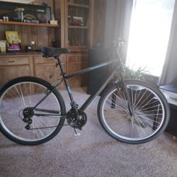 Trail Bike 29"