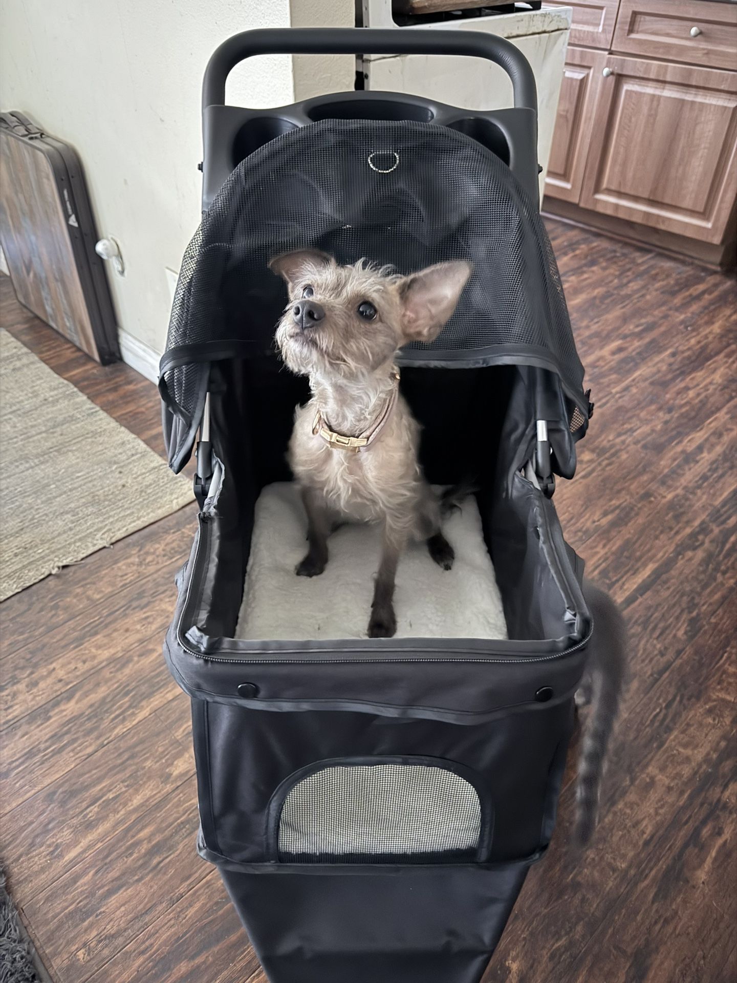 Sweetcrispy Portable Pet Stroller