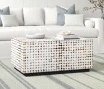 White Teak & Coconut Shell Coffee Table