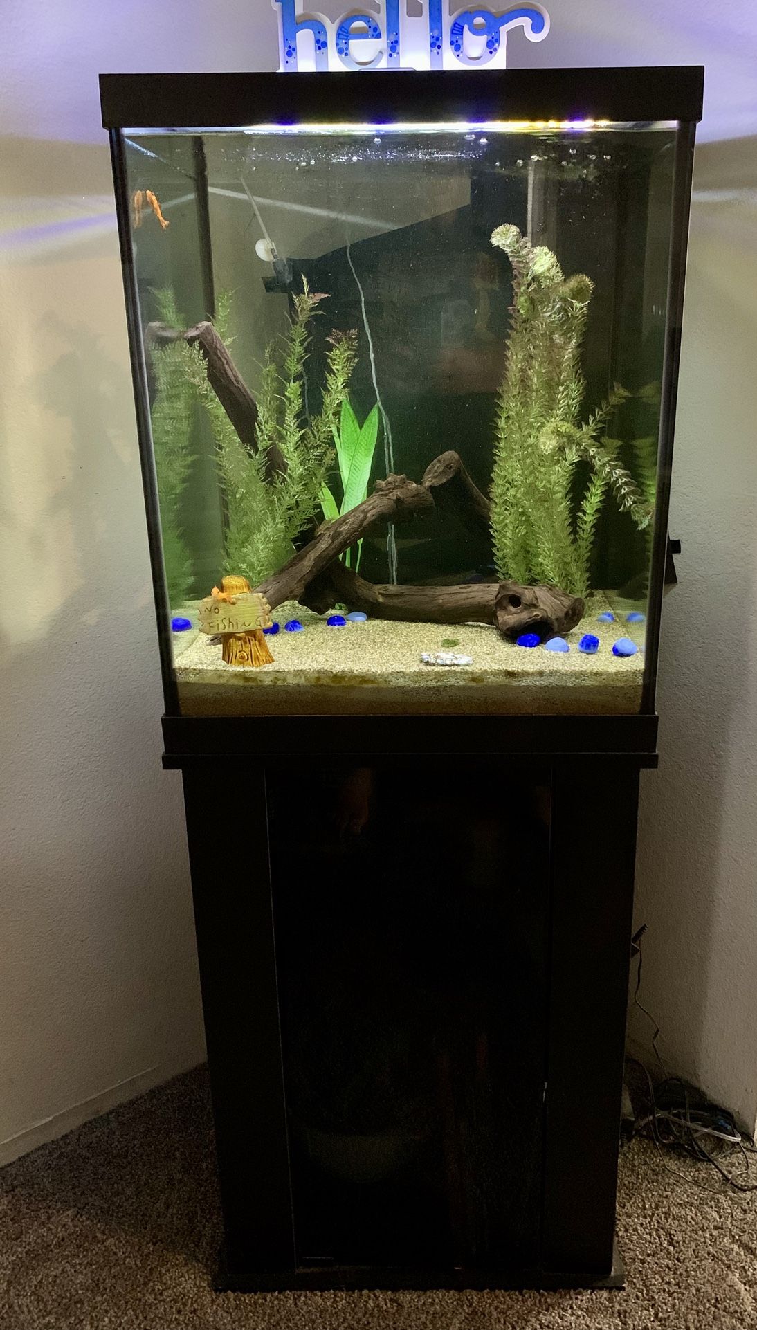 Large Fish Tank!! MUST GO!!!!!!! Light, Pump, Filter, accessories !!