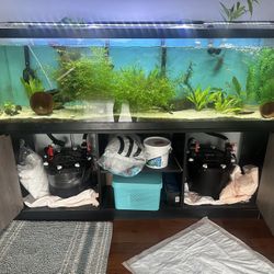 125 Gallon Fish Tank 
