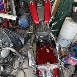 harley must sale
