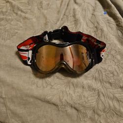 Bolles Goggles