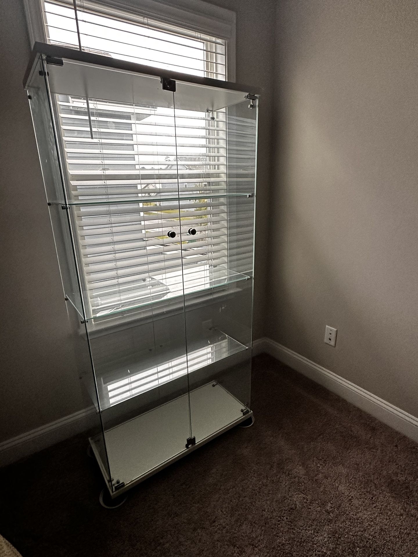 Huge Glass Trophy/Display Case