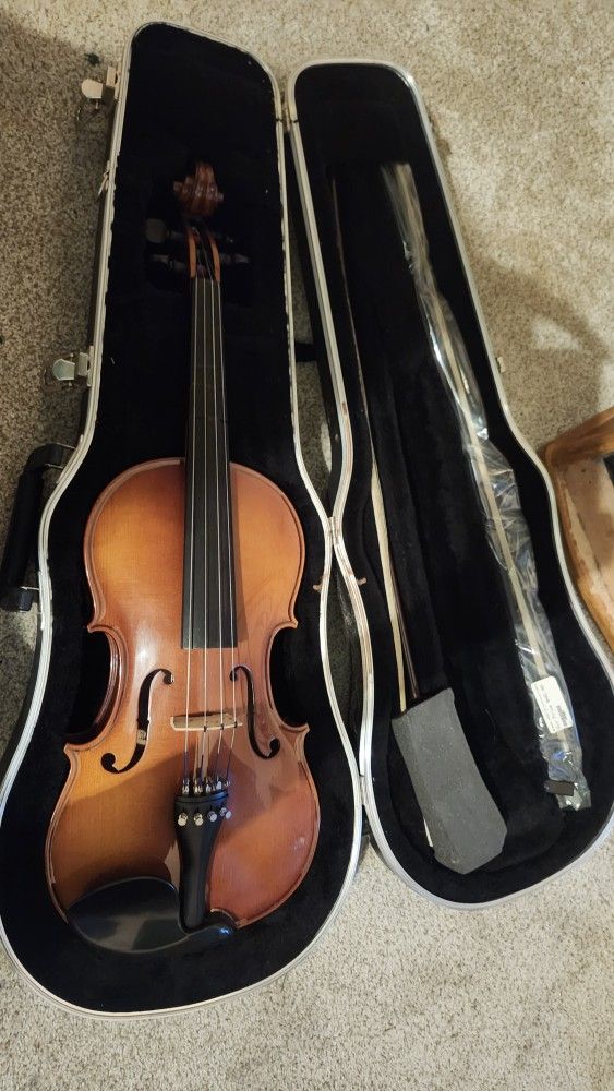 Viola 15.5 In
