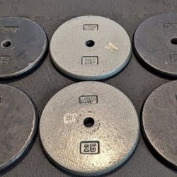 25lbs Standard Weights 