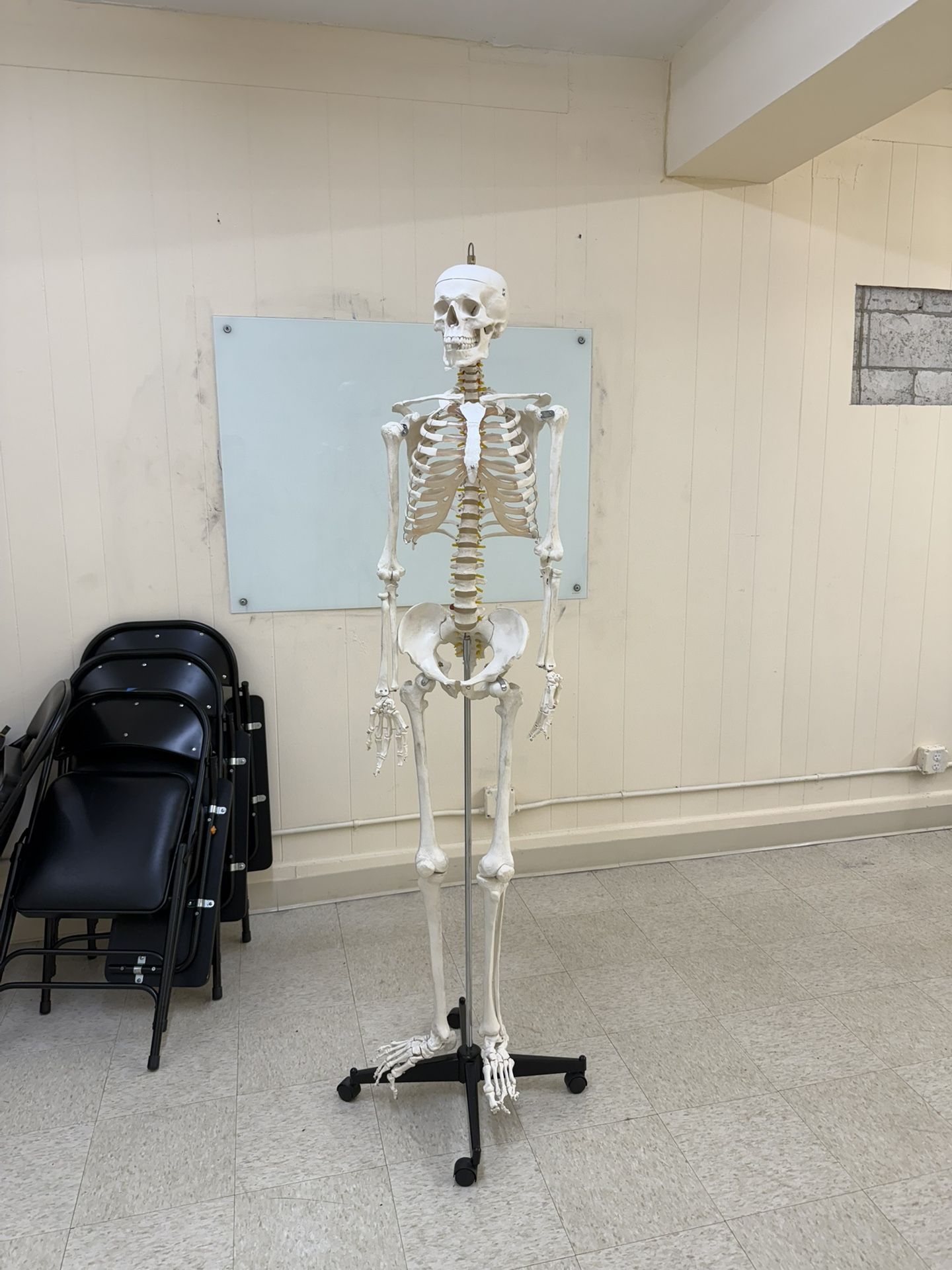 Skeleton Like New