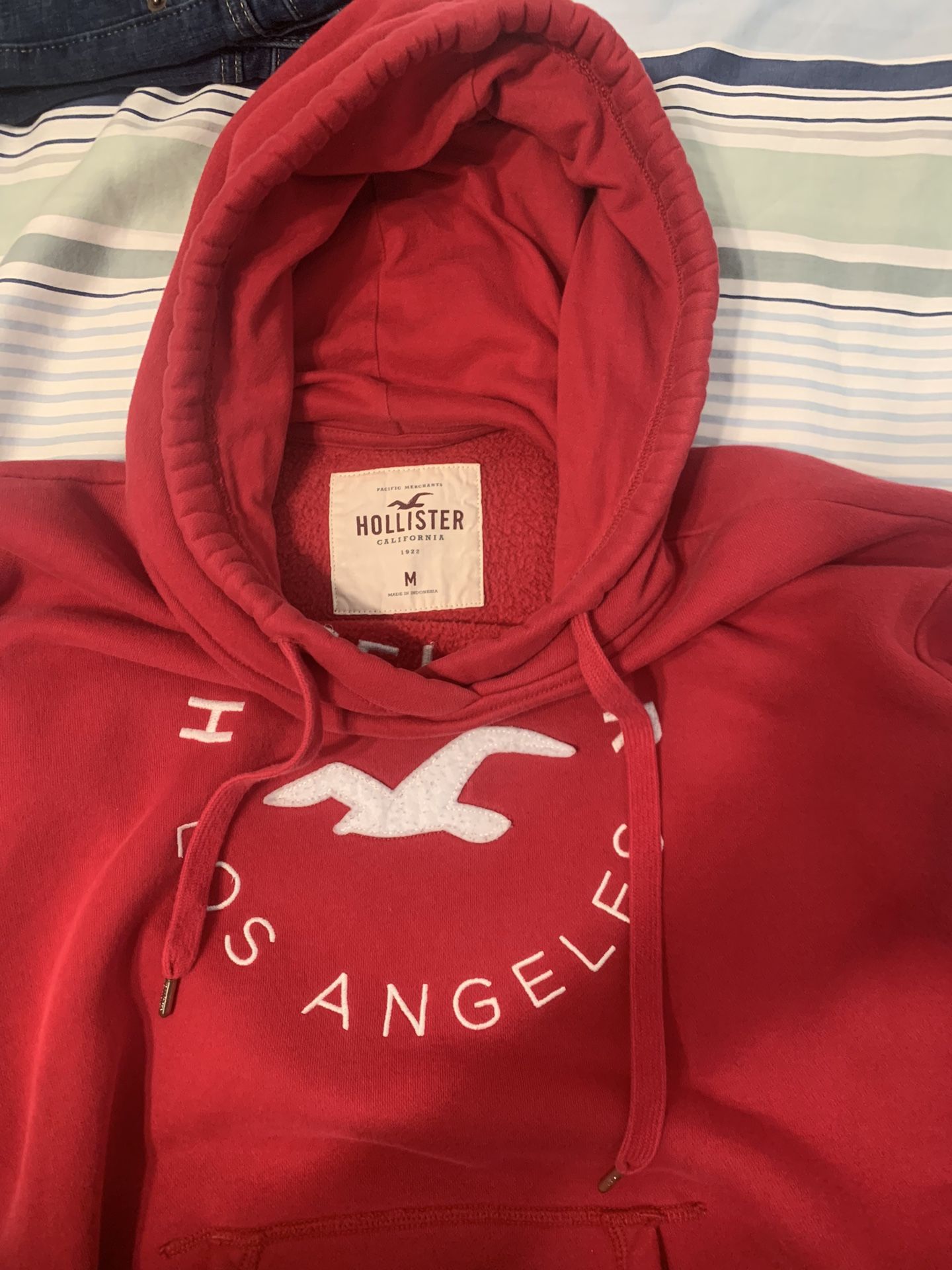 Hollister Sweatshirt