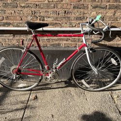 21 Inch Schwinn Moab