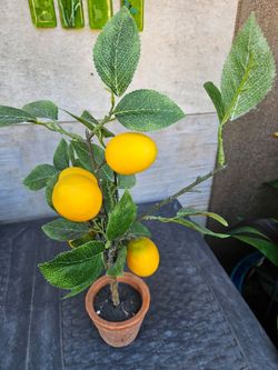 Lemon tree decor
